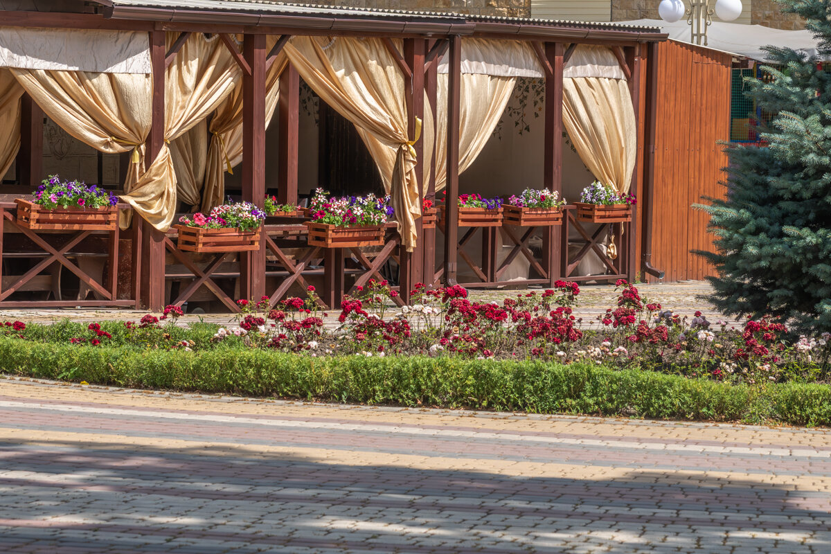 Летнее кафе - Игорь Сикорский