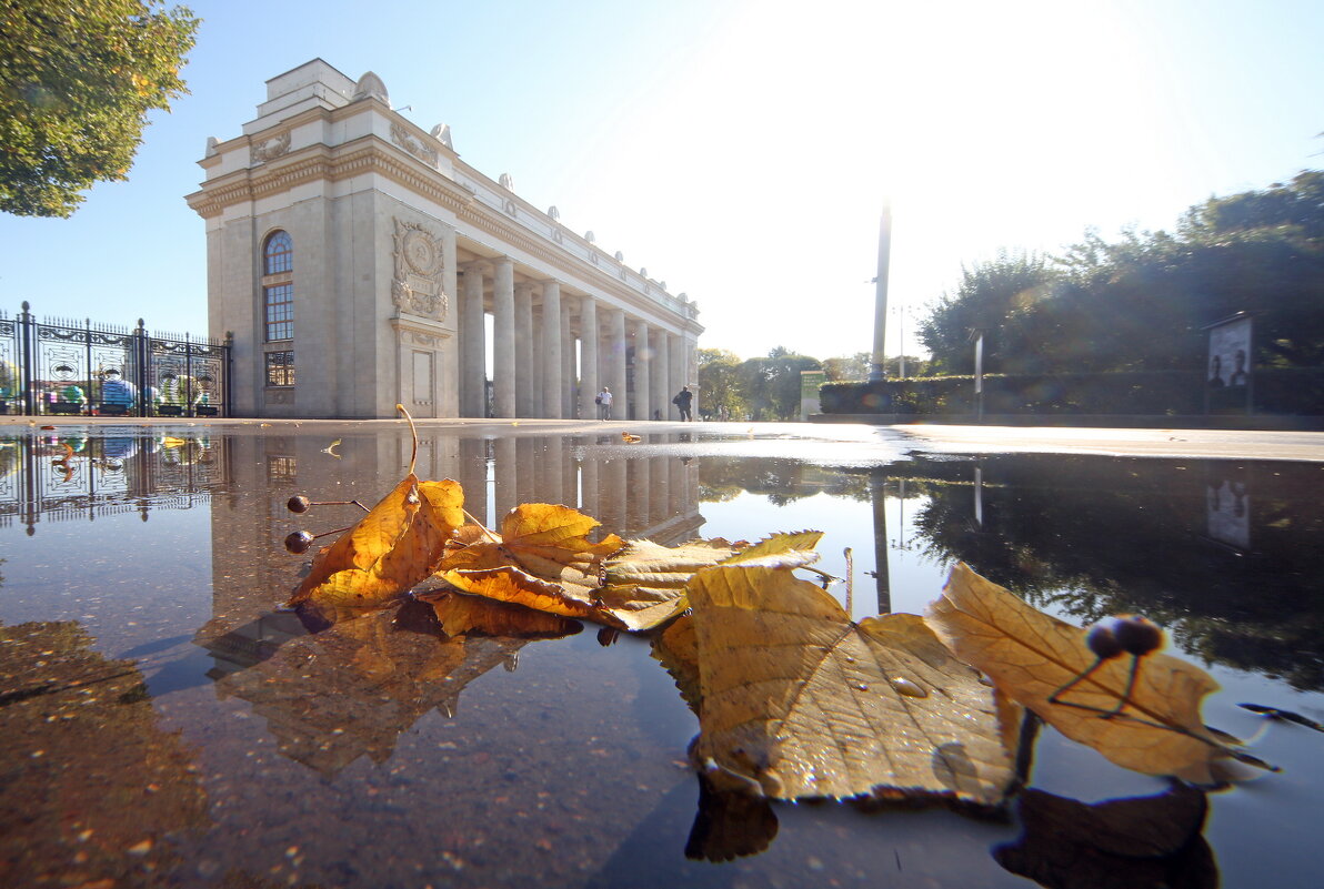 ЦПКиО - Михаил Бибичков
