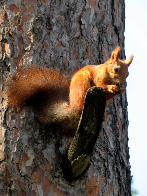 А вы уже позавтракали? Или сперва интернет, потом туалет? - Егор Бабанов