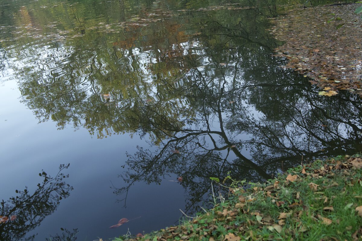 Отражение. - Lucy Schneider 