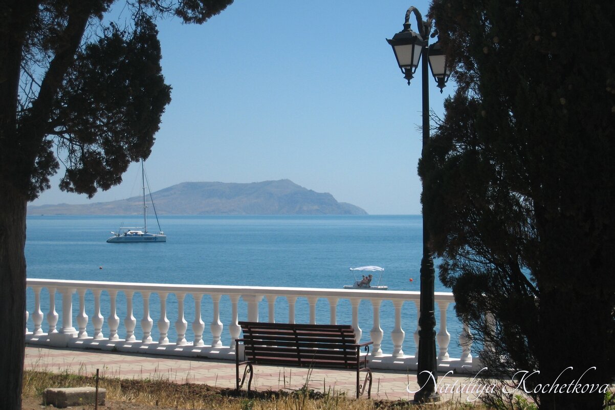 Природа Крыма - Amazing Cosmea