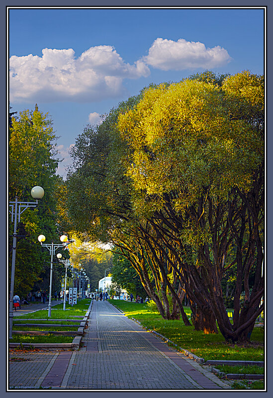 Осень пошла по улице - Владимир Кроливец