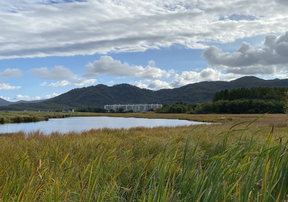 Прогулочная зона Вилючинска - Александр Белов