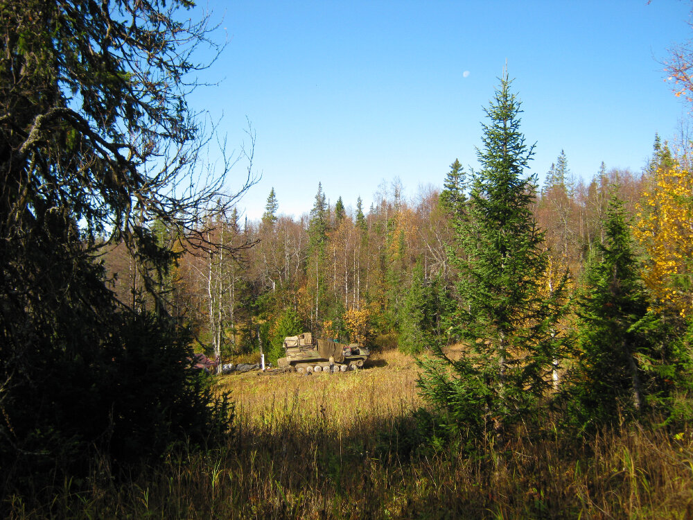 Сентябрьский день - Галина Ильясова
