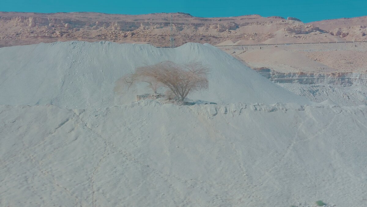 13  ОПЕН (371) - OPEN WAYS ALL