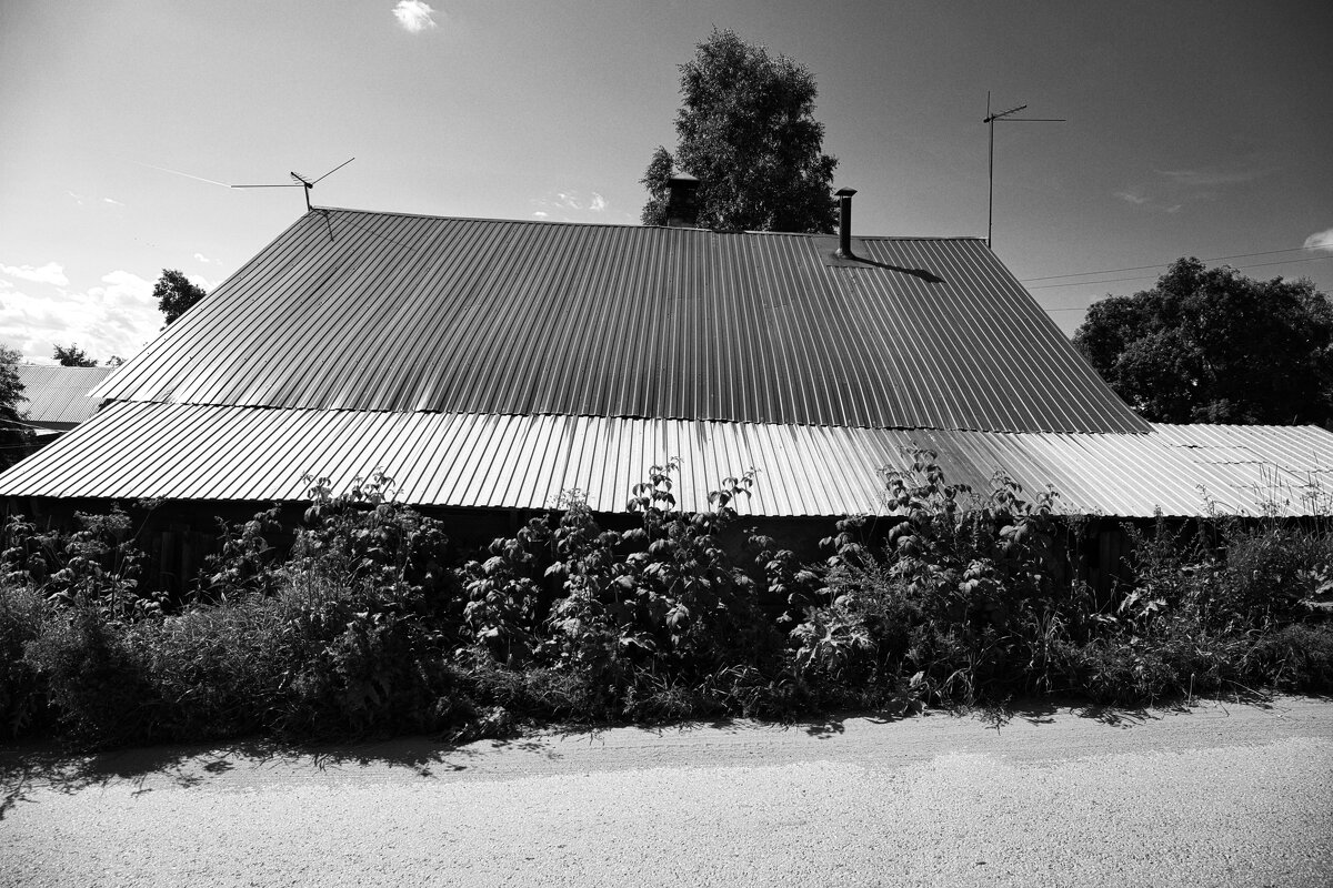 ... - Денис Безногов