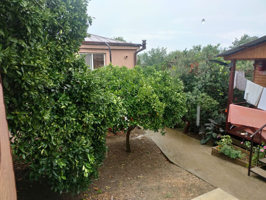 В Новом Афоне - Ирэн 