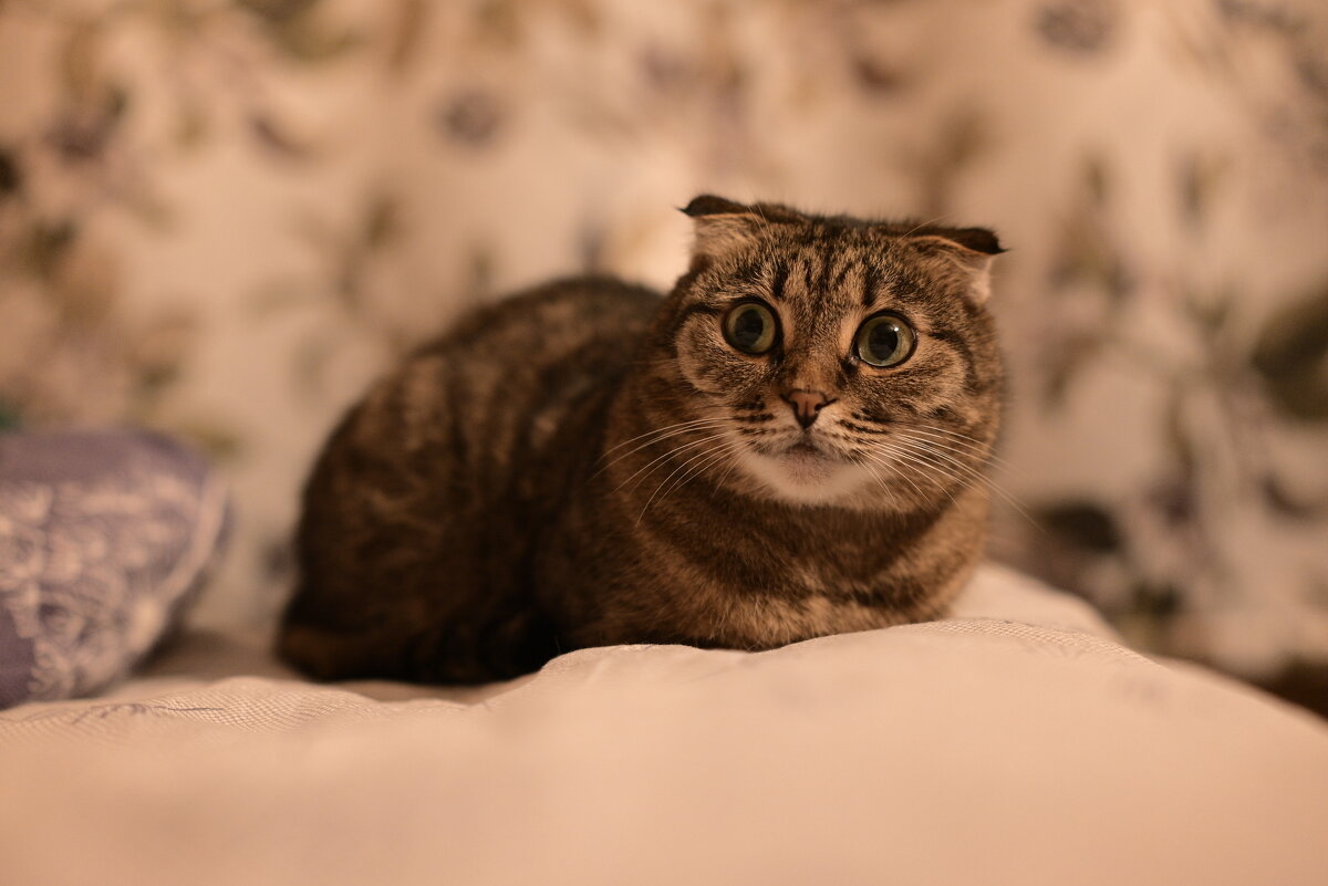 Когда позвали кушать - Владислав Левашов Когда позвали кушать - Владислав Левашов