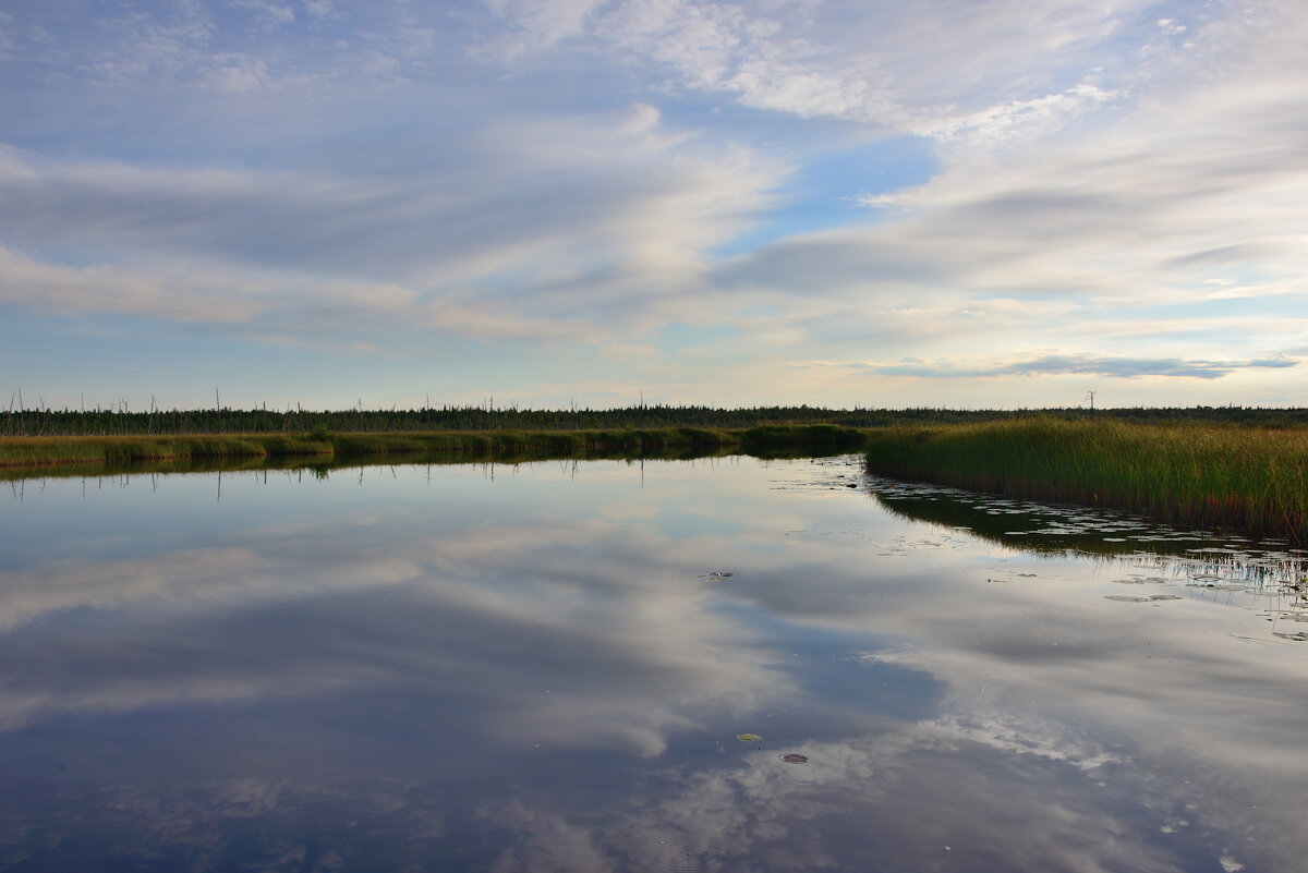 Небо под ногами - Александр Хаецкий