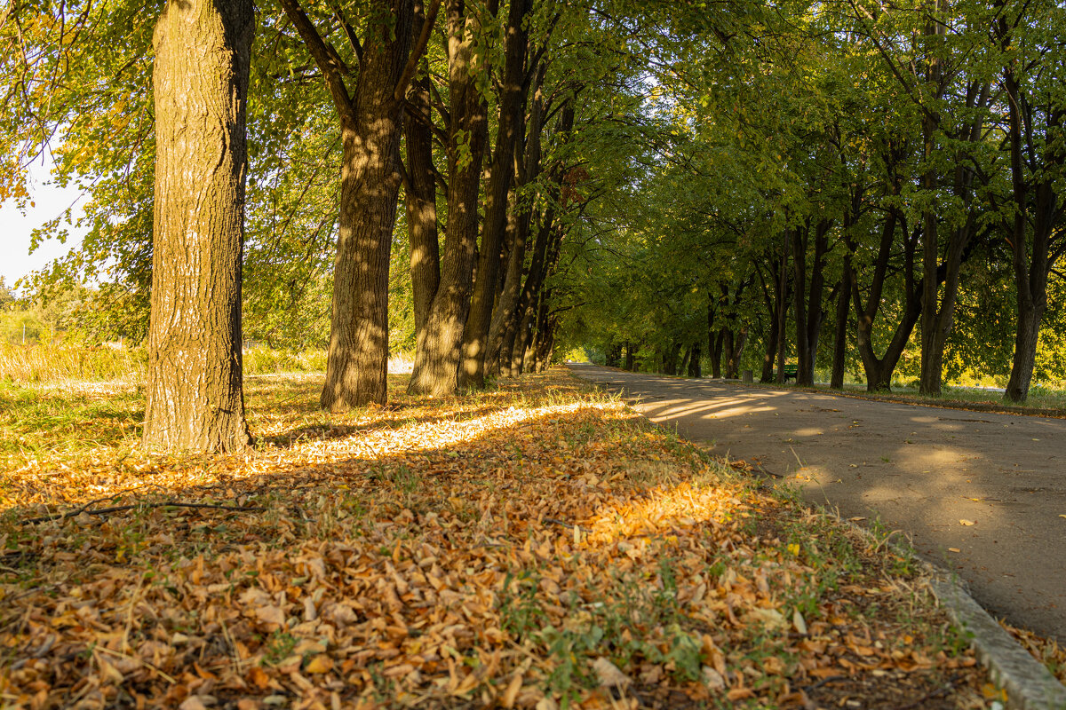 Осень - валерий 
