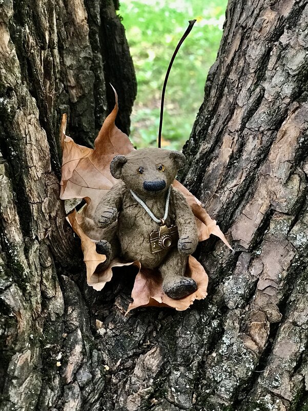 Осень однако… - Любовь 