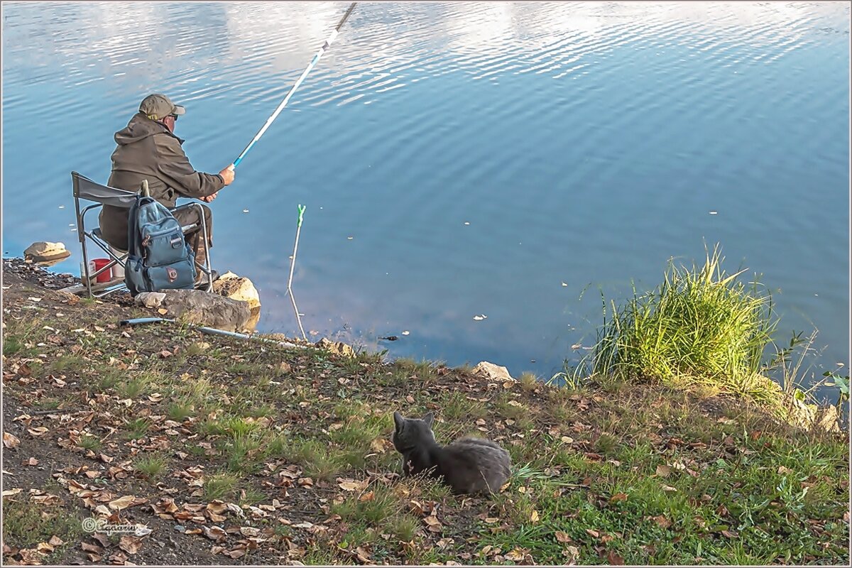 Диалоги о рыбалке - Aquarius - Сергей Диалоги о рыбалке - Aquarius - Сергей