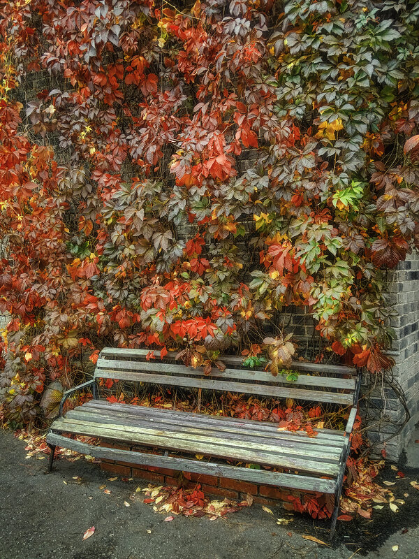 *** - Oleg Rastorguev