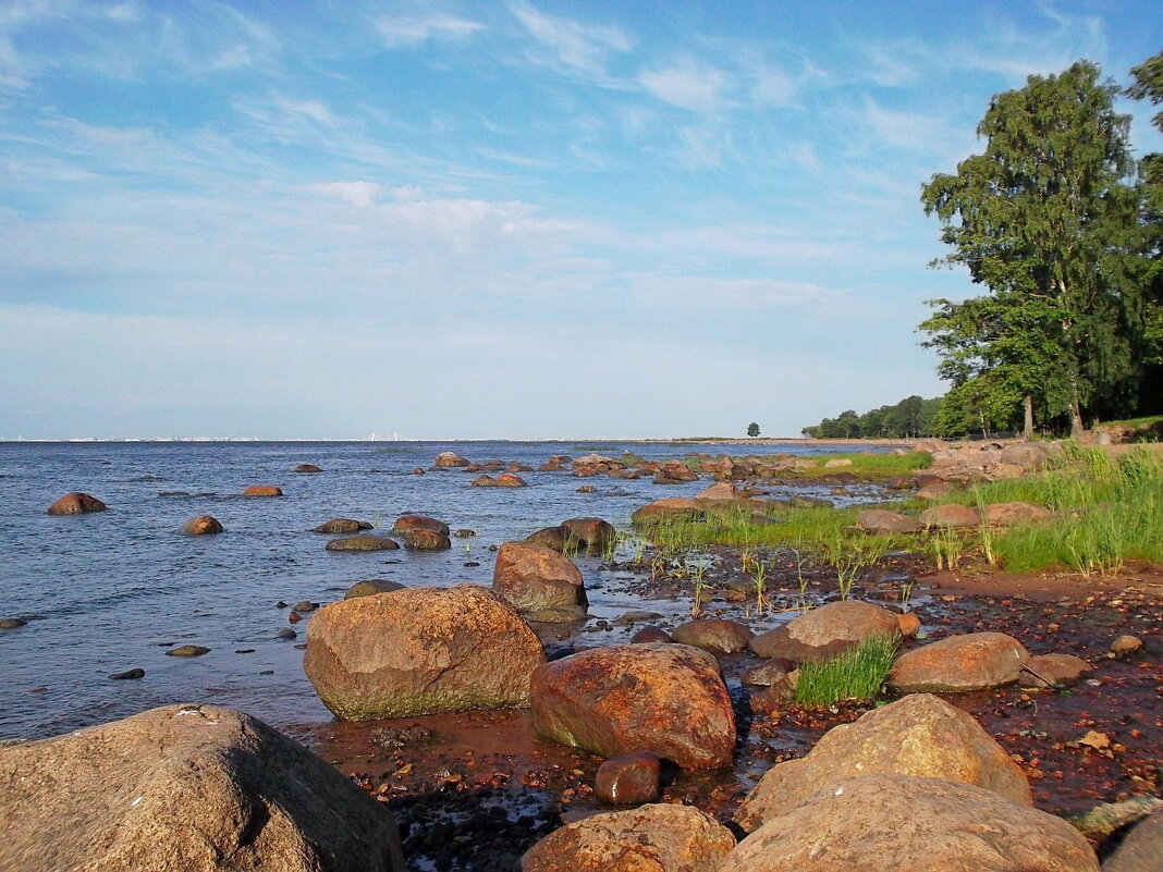 Финский залив. - VasiLina *