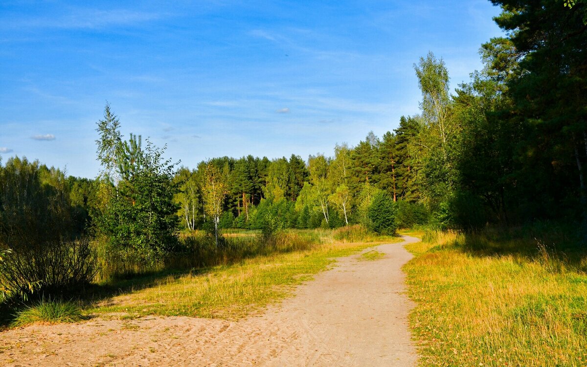 Смоленская осень. - Милешкин Владимир Алексеевич Смоленская осень. - Милешкин Владимир Алексеевич