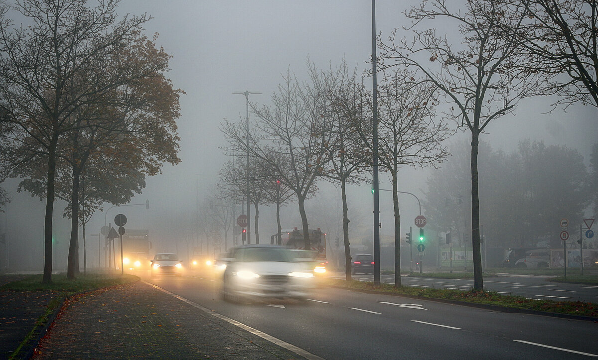 В туман - Андроник Александр 