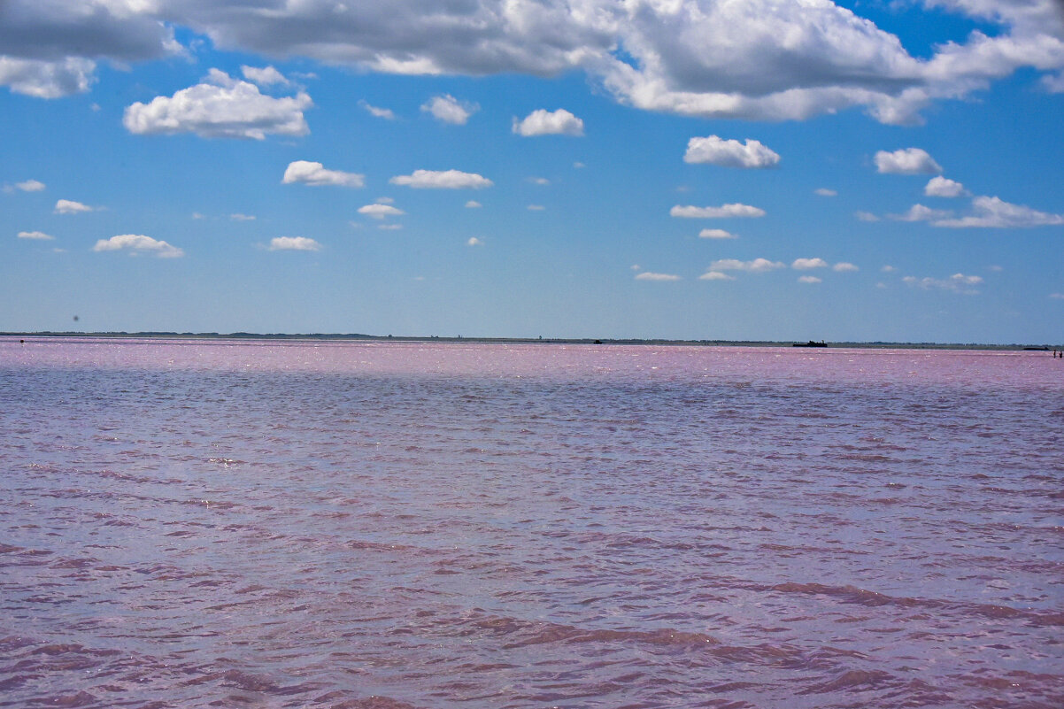 Бурсоль - Grishkov S.M.