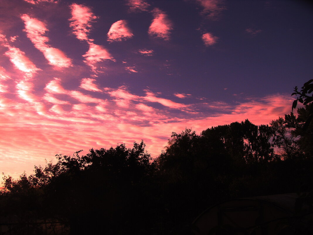 Красивое утро - Людмила Смородинская