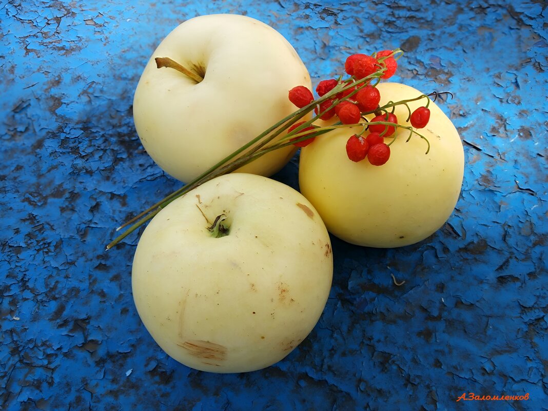 И пахнет яблоком сентябрь... - Андрей Заломленков И пахнет яблоком сентябрь... - Андрей Заломленков