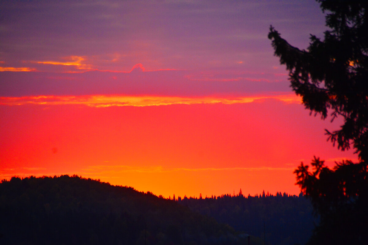 утро - леонид логинов