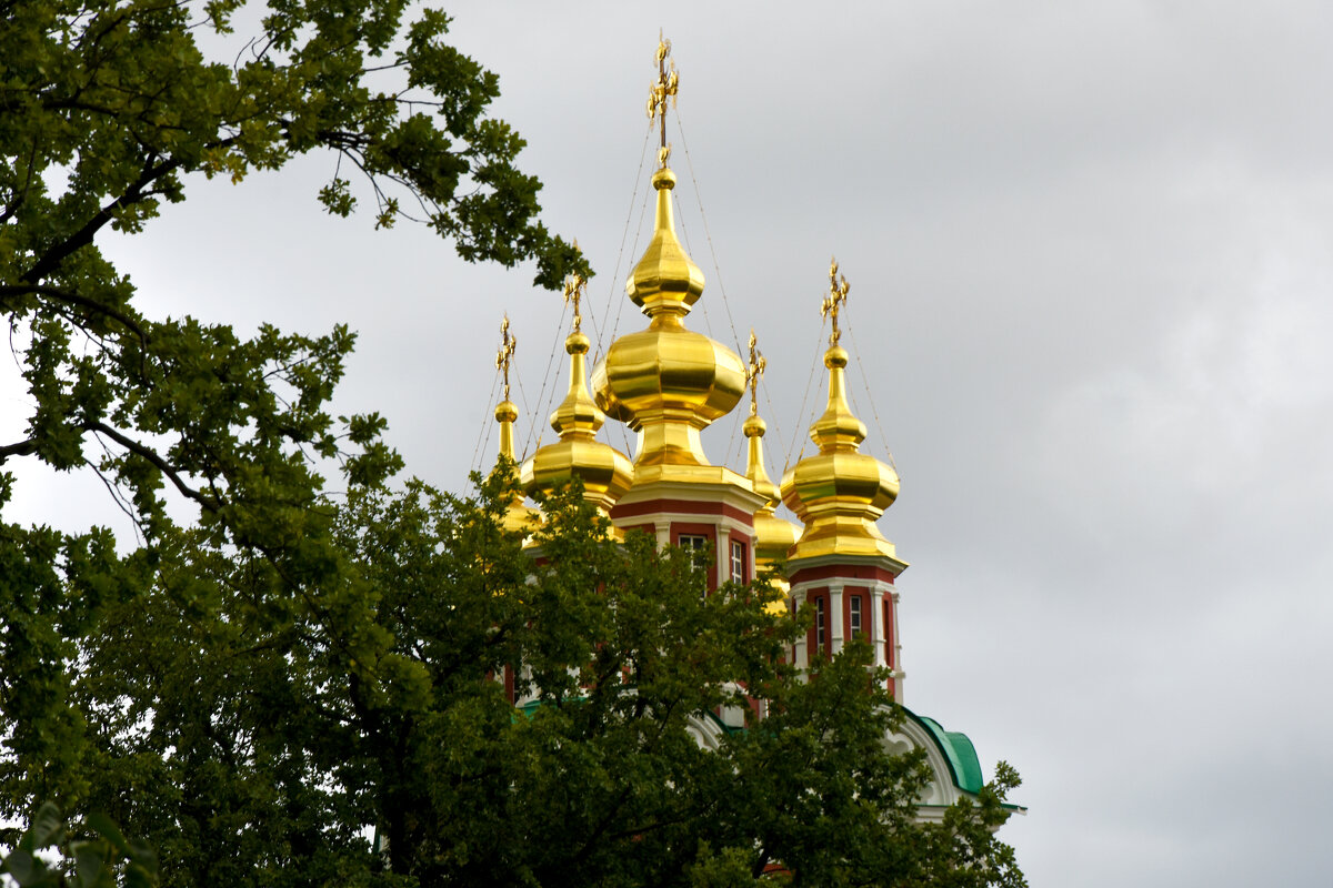 Москва. Новодевичий монастырь. Купола. - Наташа *****