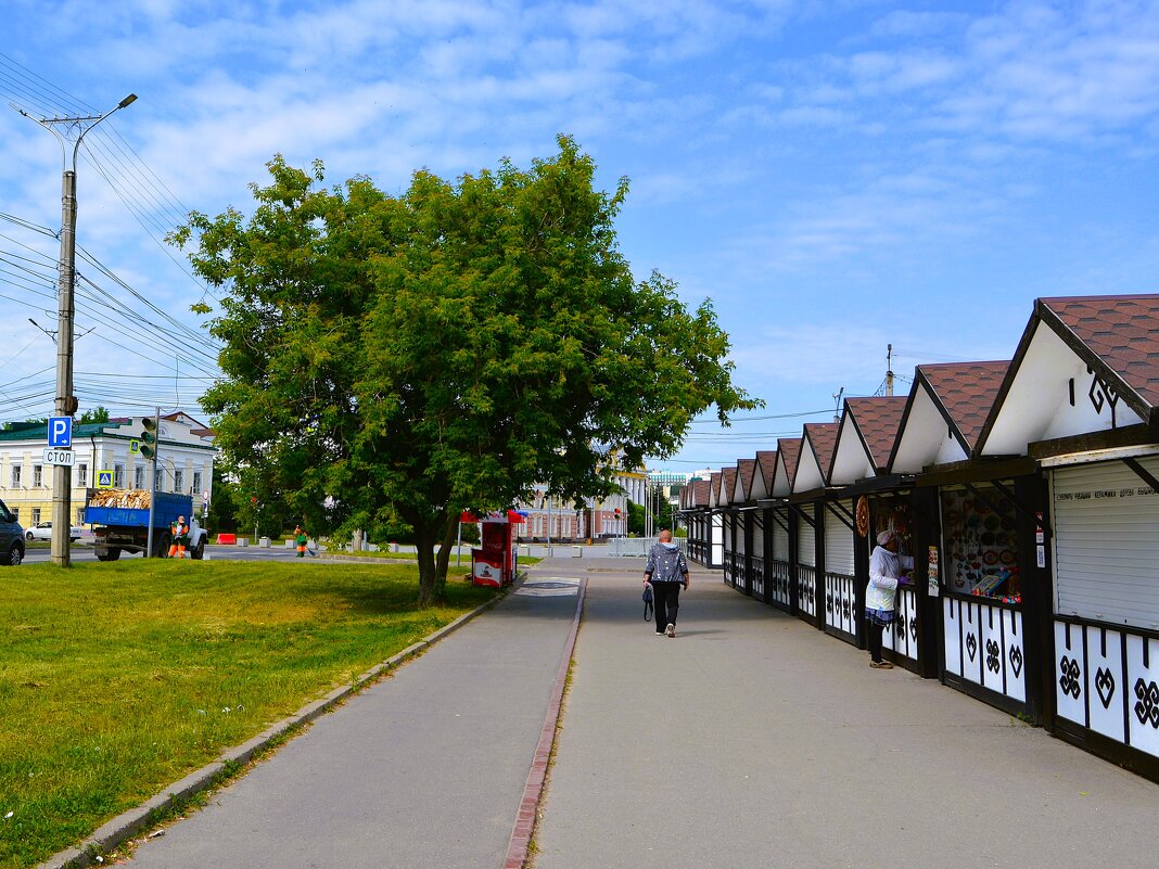 Чебоксары. Липа у торговых рядов по ул. Сергия Радонежского - Пётр Чернега