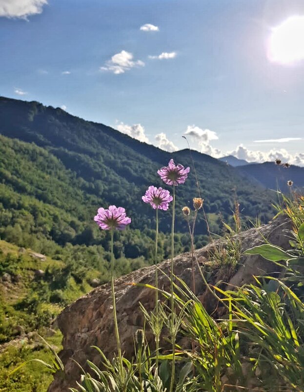 Пшехский водопаД - Tata Wolf