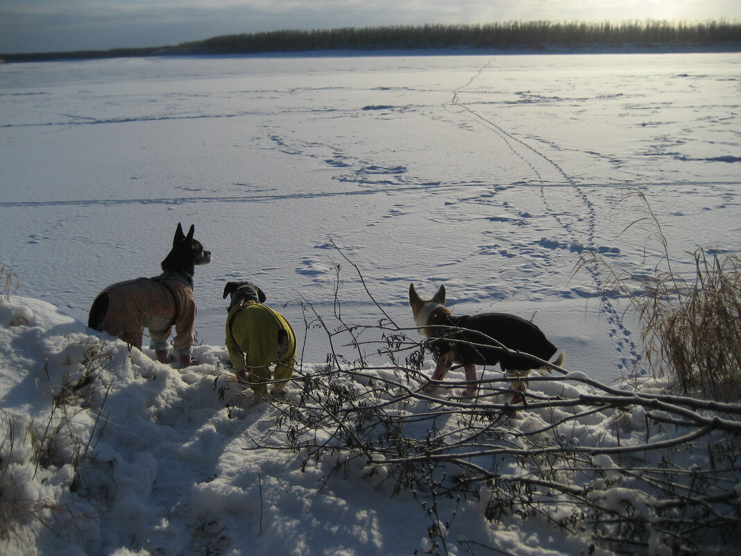 У протоки - Anna Ivanova