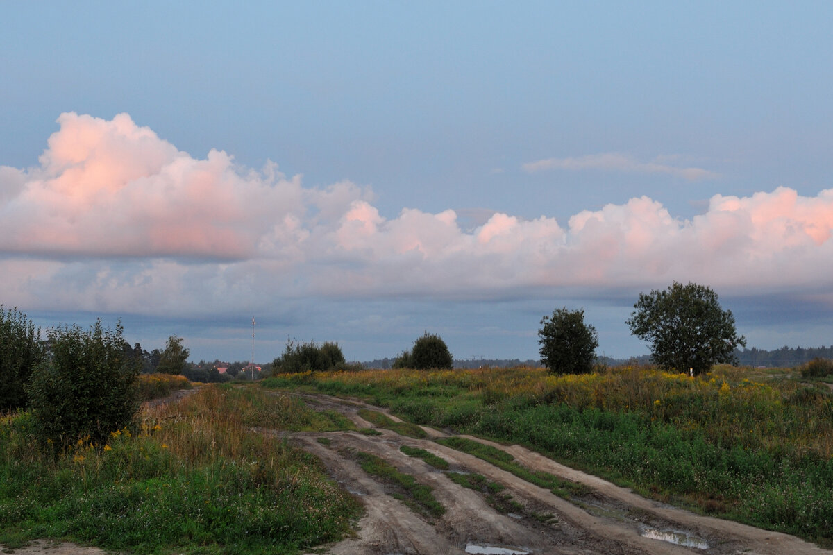 * - Виктор Берёзкин