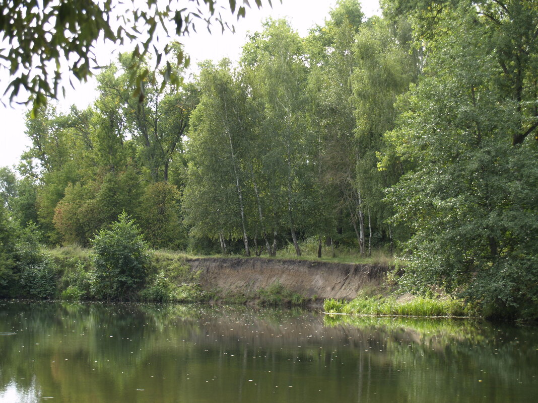 Река Тускарь - Дмитрий Курский 