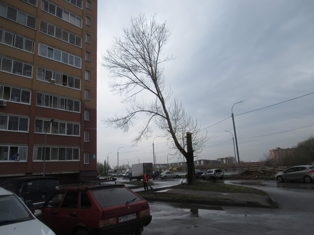 Ампутация ствола Тополя - Андрей Макурин