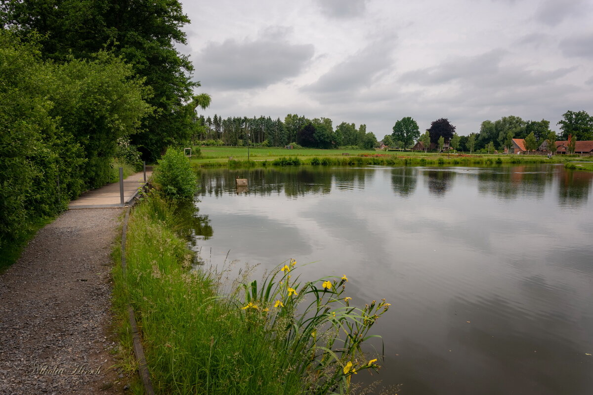 В первый день июня... - Николай Гирш В первый день июня... - Николай Гирш