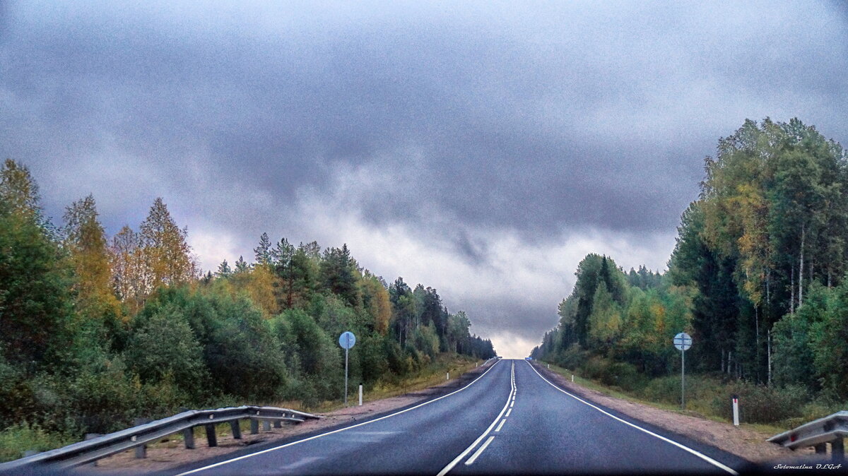 дорога...... - Ольга Cоломатина