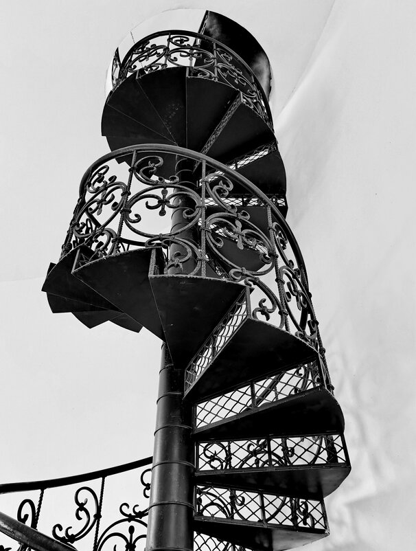 Черно-белая фотография - Любимова Ольга 