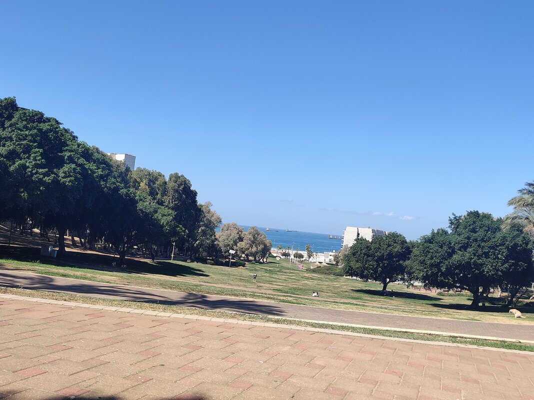 "" - Светлана Хращевская