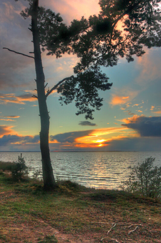 *** - Сергей Григорьев