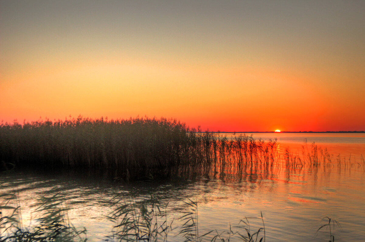 *** - Сергей Григорьев