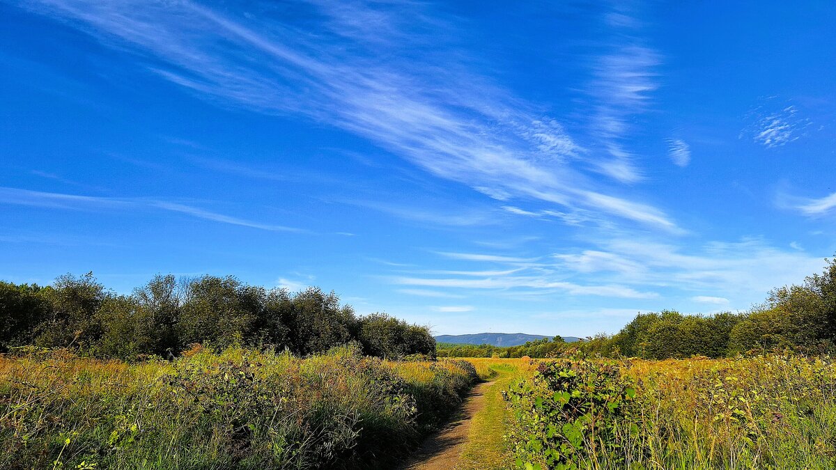 День объятия раскинул - Hope 