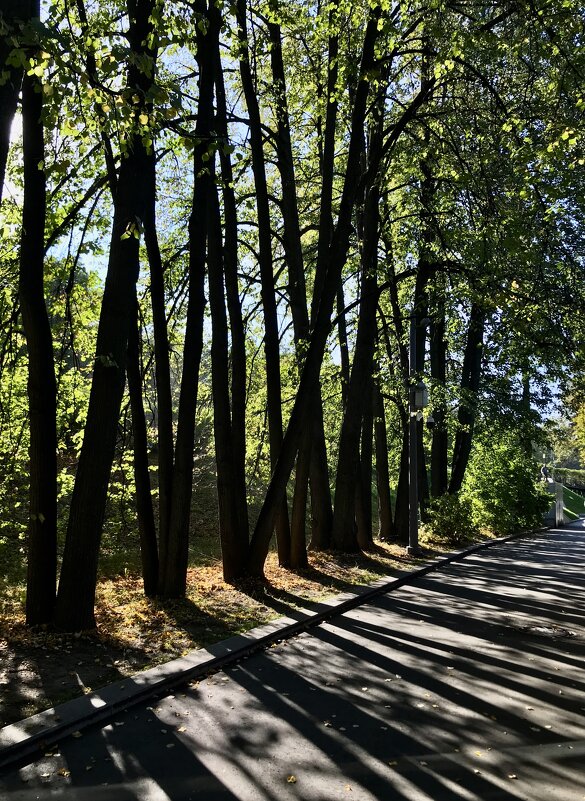 Геометрия в парке - Любовь 
