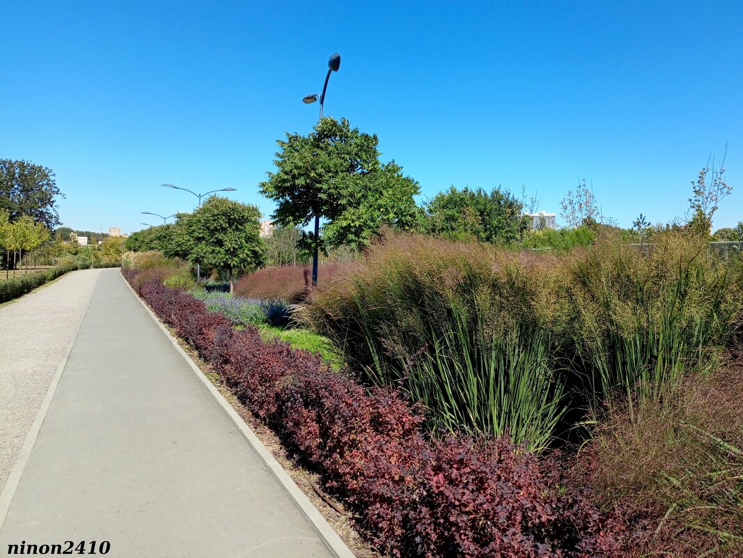 В ростовском экопарке Первая миля - Нина Бутко