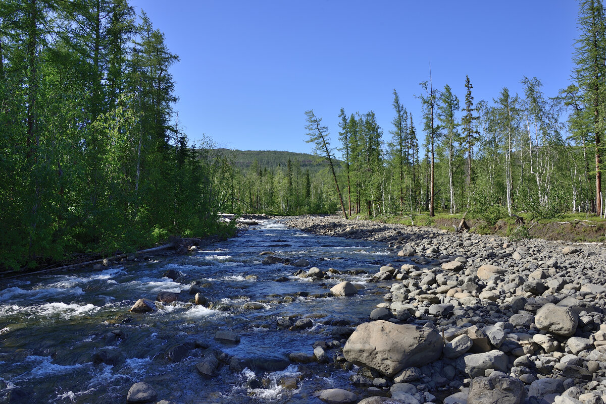 ** - Александр Хаецкий