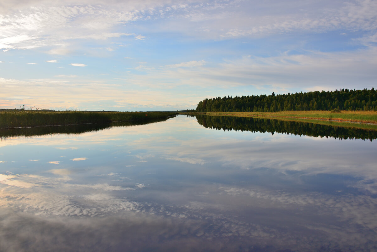** - Александр Хаецкий
