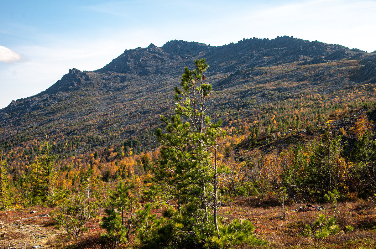 - - Владимир 