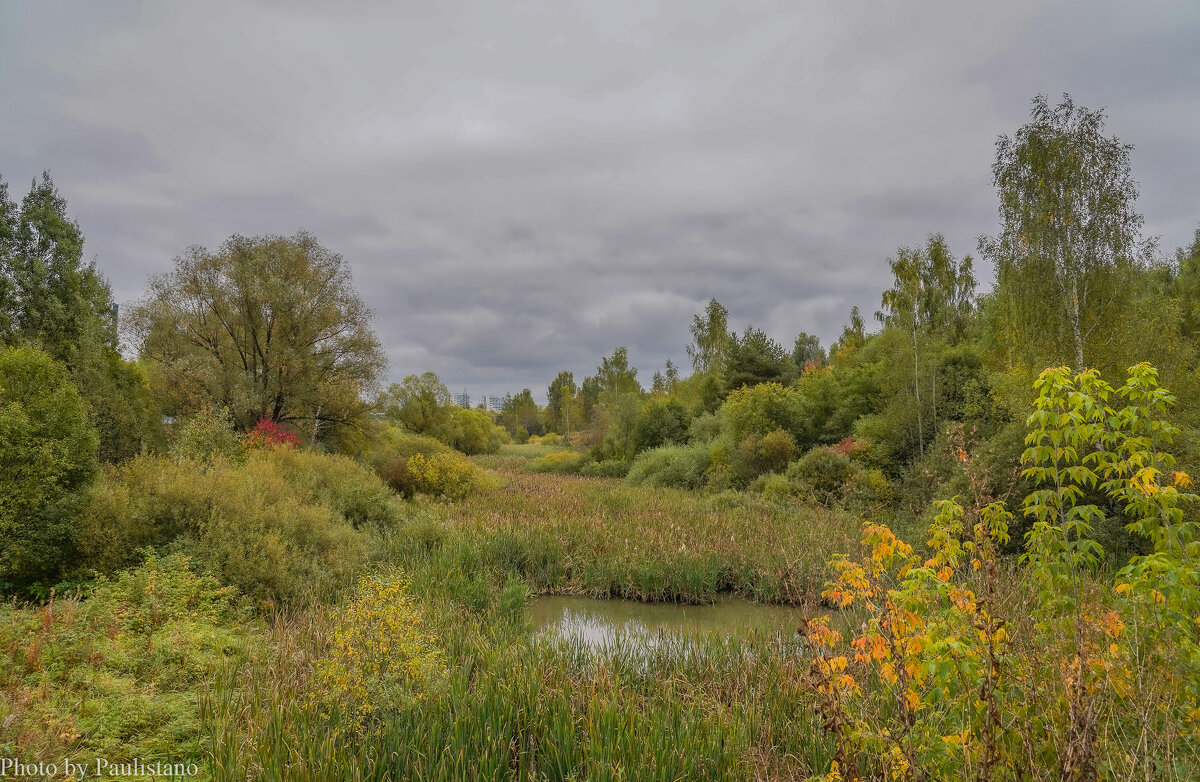 Палитра сентября... - Владимир Жданов Палитра сентября... - Владимир Жданов