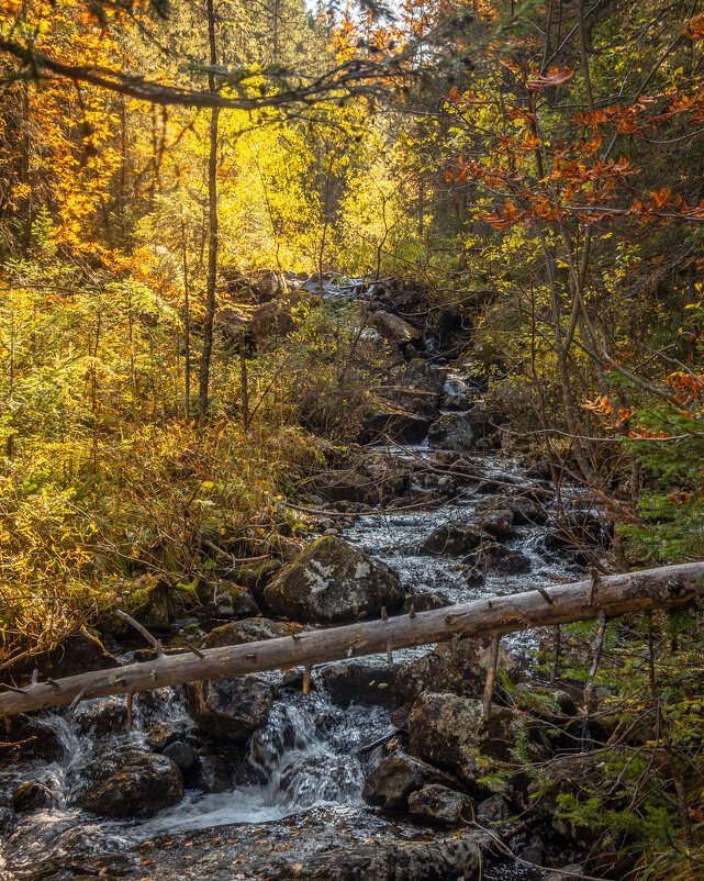 ... - Владимир ... - Владимир