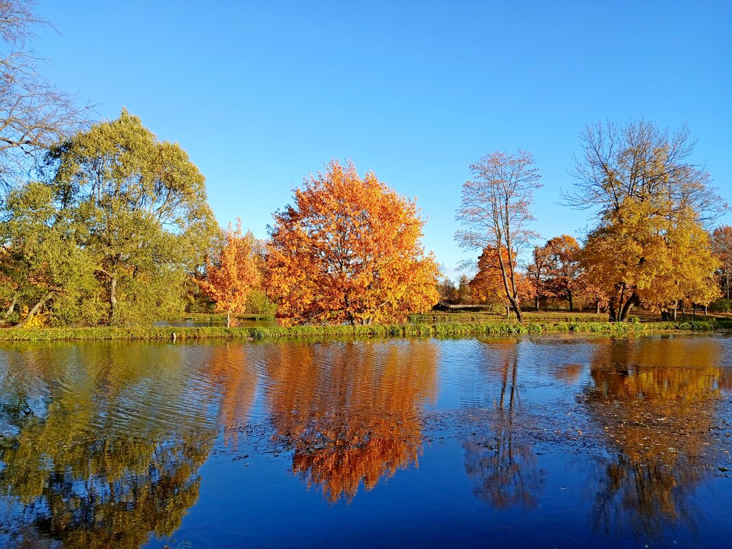 Золотой октябрь. - Лия ☼ Золотой октябрь. - Лия ☼