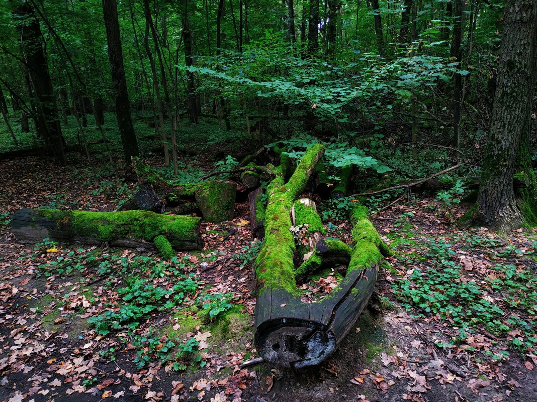 * * * - Андрей Лукьянов