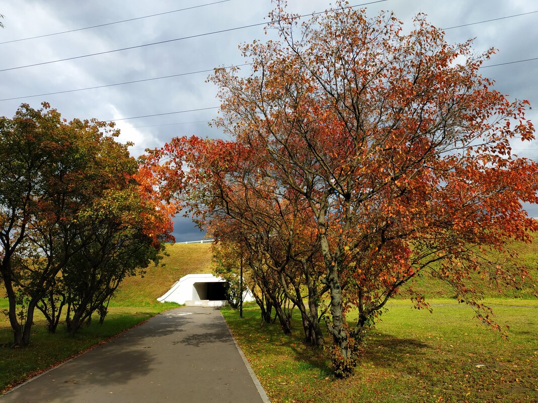 Мимо осени никто не проедет - Андрей Лукьянов