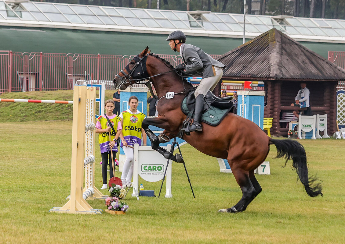 Конкур - Анатолий Шумилин