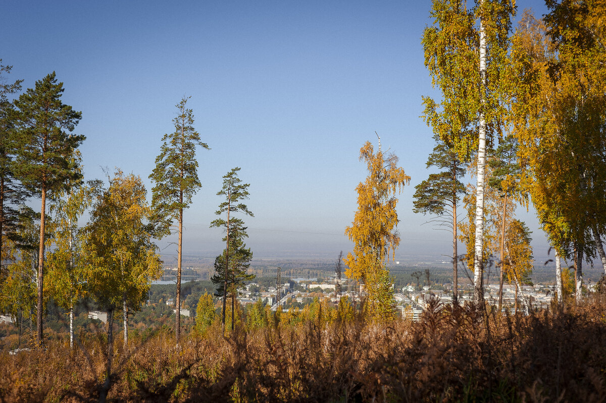 Осень носит больше золота в своих карманах, чем все другие времена года. - Вадим Басов